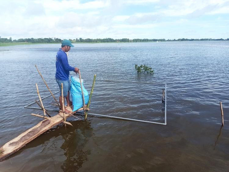 Dự án ICRSL đã giúp nhiều người dân ở An Giang cải thiện thu nhập Dự án ICRSL đã giúp nhiều người dân ở An Giang cải thiện thu nhập