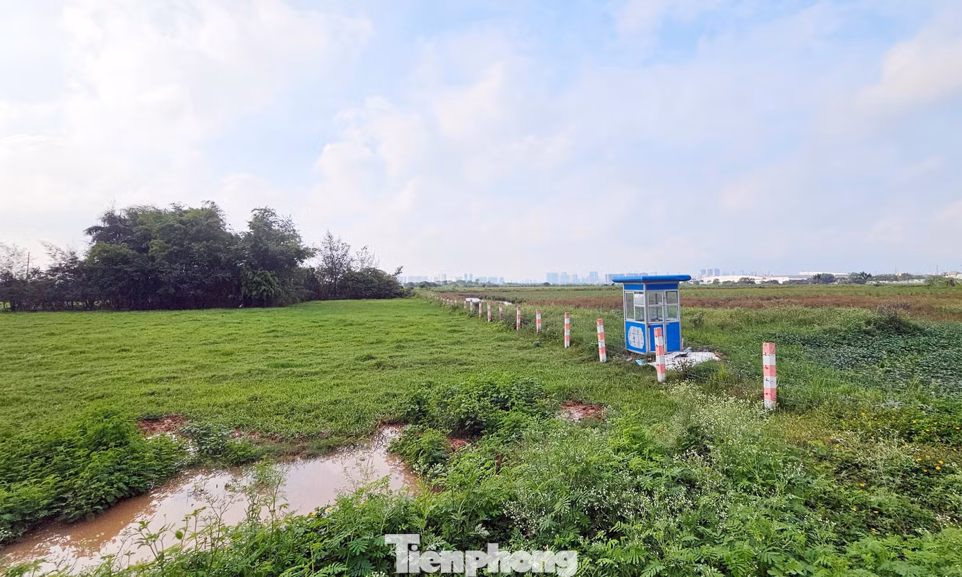 Khu vực lập quy hoạch phân khu Khu vực Đồng Mai bao gồm: Khu nhà ở sinh thái Đồng Mai và Khu Nhà ở xã hội cho cán bộ, sĩ quan quân đội khó khăn về nhà ở tại phường Đồng Mai. Tổng diện tích lập quy hoạch khoảng 226ha; dân số: 19.500 người; Mật độ xây dựng toàn khu < 30%; Tầng cao công trình dưới 08 tầng. Đến ngày 05/8/2020, UBND TP Hà Nội tiếp tục phê duyệt nhiệm vụ Quy hoạch chi tiết khu vực Đồng Mai, tỷ lệ 1/500…