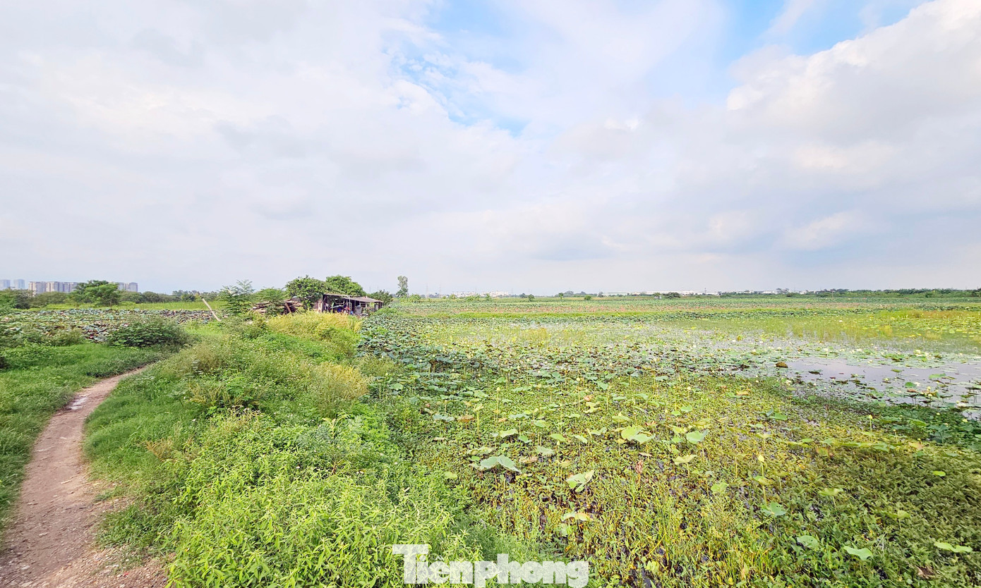 Cùng với đó, thực hiện chỉ đạo của UBND TP, Sở Quy hoạch - Kiến trúc đã có các công văn (gần nhất là công văn số 641 ngày 16/02/2023) tổng hợp ý kiến Tổ Công tác TP, báo cáo UBND TP về kết quả rà soát dự án tại khu vực Đồng Mai…