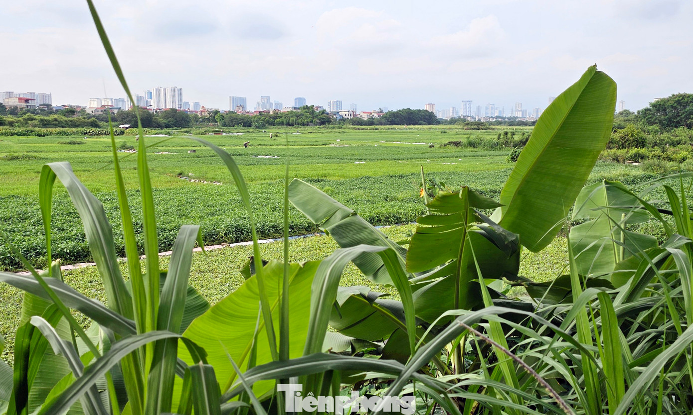 Liên quan đến Dự án Khu nhà ở sinh thái Đồng Mai, UBND TP Hà Nội cho biết, tại cuộc họp ngày 14/02/2022, Thường trực Thành uỷ đã nghe báo cáo và cho ý kiến chỉ đạo về chủ trương dự án đầu tư, đồ án Quy hoạch chi tiết Khu vực Đồng Mai, tỷ lệ 1/500. UBND TP đã giao sở Kế hoạch và Đầu tư chủ trì, phối hợp các sở, ngành TP thực hiện; Sở Kế hoạch và đầu tư đã có các công văn báo cáo UBND TP.