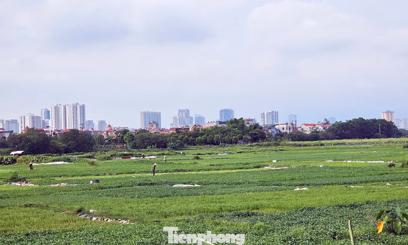 Tuy nhiên, sau khi sáp nhập tỉnh Hà Tây, TP Hà Nội có chủ trương di dời các khu công nghiệp ra khỏi khu vực phát triển đô thị. Nhận thấy dự án Cụm công nghiệp Đồng Mai không còn phù hợp về chủ trương quy hoạch, Công ty Phong Phú đã đề nghị điều chỉnh quy hoạch Cụm Công nghiệp Đồng Mai và điều chỉnh chức năng từ Cụm Công nghiệp thành khu đô thị Đồng Mai.