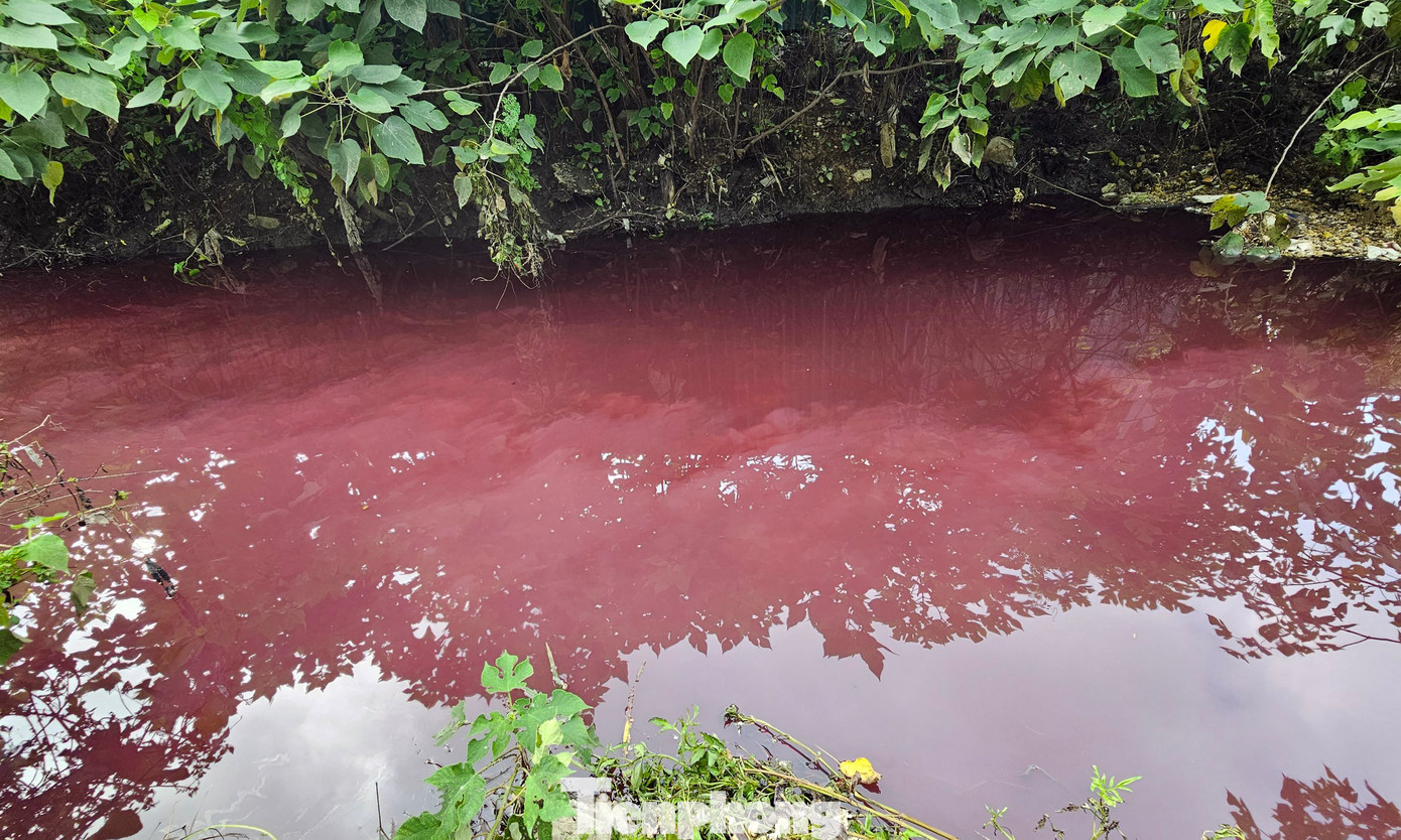 Mương nước cạnh trạm bê tông chuyển màu đỏ ngòm.