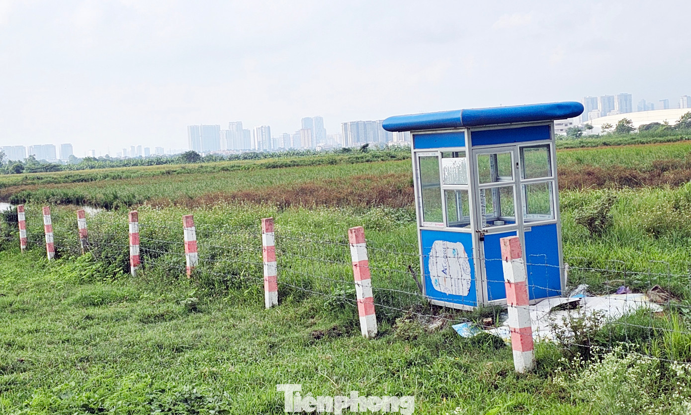 Dự án vẫn là khu đất trống bỏ hoang, cỏ dại mọc um tùm. Dự án vẫn là khu đất trống bỏ hoang, cỏ dại mọc um tùm.
