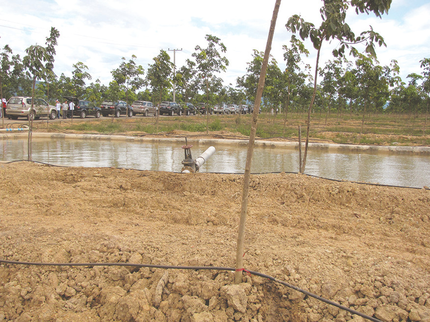 Hệ thống ống tưới cao su của HAGL