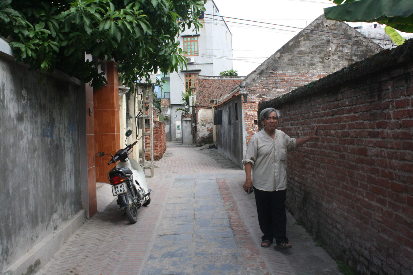 Nhà văn - Dịch giả Thúy Toàn trên đường làng Phù Lưu