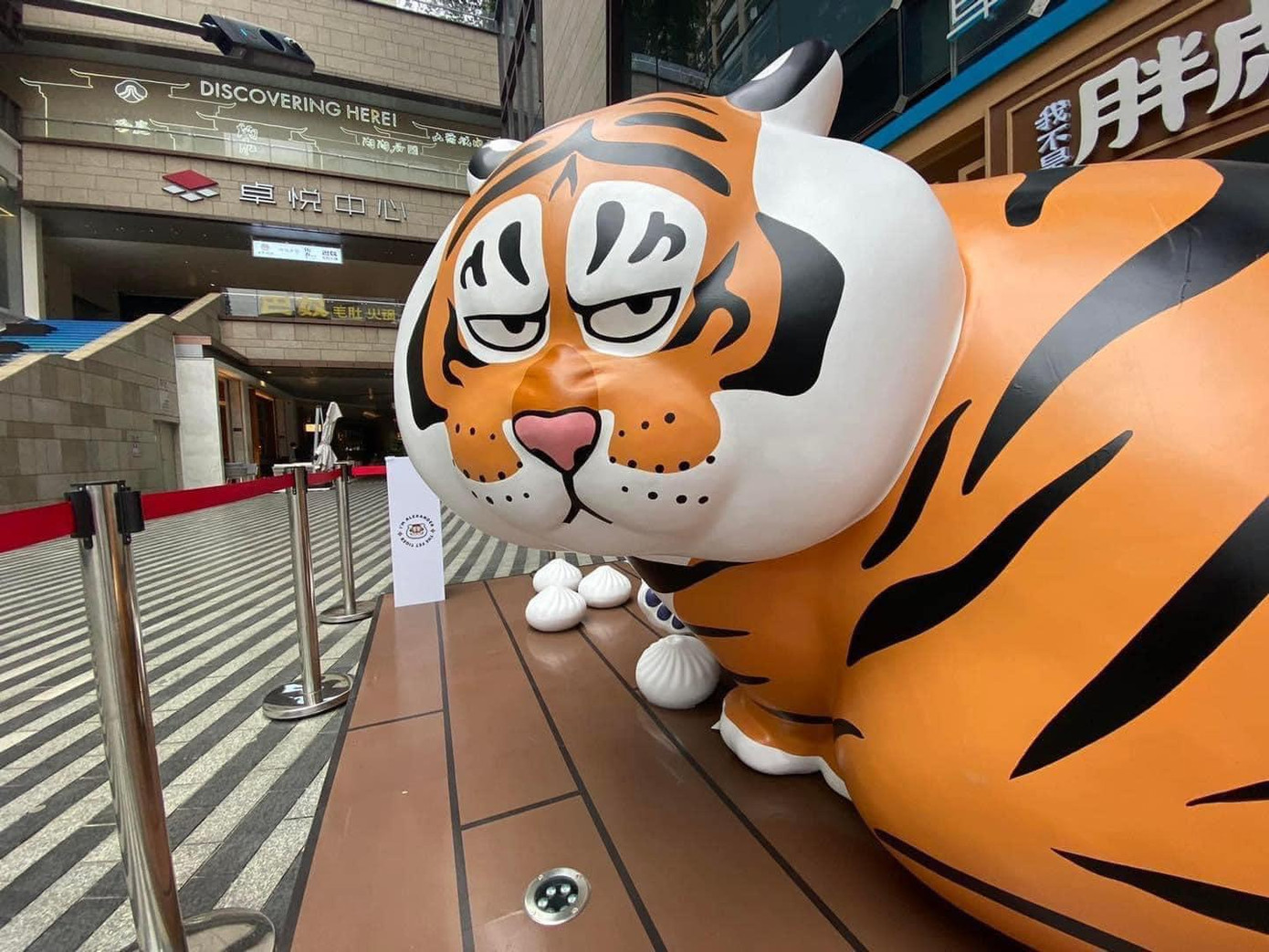 Ngoại hình "mập ú" cùng biểu cảm "hờn" cả thế giới. (Ảnh: Peng Duan) Ngoại hình "mập ú" cùng biểu cảm "hờn" cả thế giới. (Ảnh: Peng Duan)