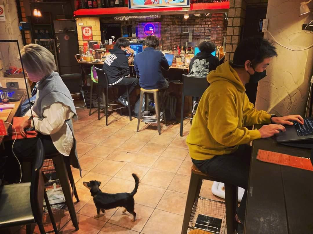 Quán cà phê đã thu hút nhiều bạn trẻ tới trải nghiệm và làm việc. Quán cà phê đã thu hút nhiều bạn trẻ tới trải nghiệm và làm việc.