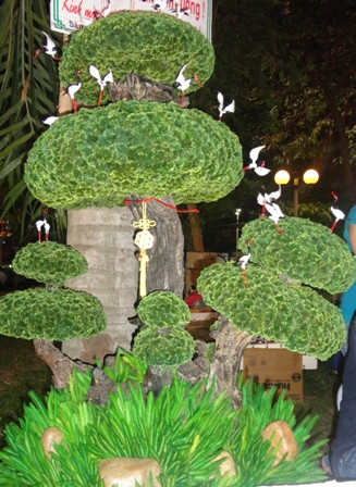 Cây tùng có lá bonsai chào bán với giá 28 triệu đồng