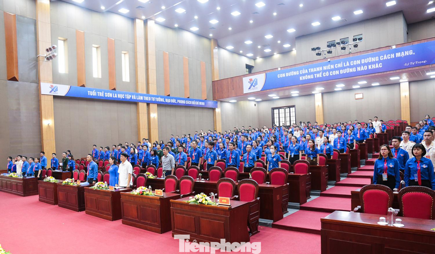 Trong phiên khai mạc, các đại biểu nghe báo cáo kết quả nhiệm vụ khóa trước, phương hướng hoạt động khóa mới, chia tổ thảo luận về các chủ đề tại đại hội. Ở phiên trọng thể diễn ra ngày 23/9, Đại hội sẽ bầu và ra mắt Ban Chấp hành khóa mới cùng các vị trí lãnh đạo chủ chốt Tỉnh Đoàn.