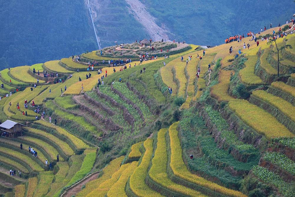 Mù Cang Chải sở hữu danh thắng quốc gia ruộng bậc thang - điểm đến thu hút nhiều du khách đặc biệt là đồi mâm xôi La Pán Tẩn.