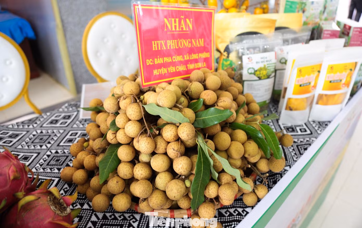 Nhãn chín muộn được trồng ở bản Pha Cúng, xã Lóng Phiêng, huyện Yên Châu. Vỏ mỏng, cùi dày và khá ngọt, giá khoảng 20.000 đồng/1kg.
