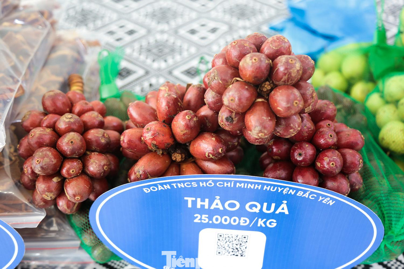 Thảo quả được trồng dưới tán rừng già trồng ở xã vùng cao Háng Đồng, Bắc Yên nơi có độ cao hơn 1.000 mét so với mực nước biển. Loại quả này dùng tươi hoặc phơi khô, xay ra làm dược liệu hoặc hương liệu.