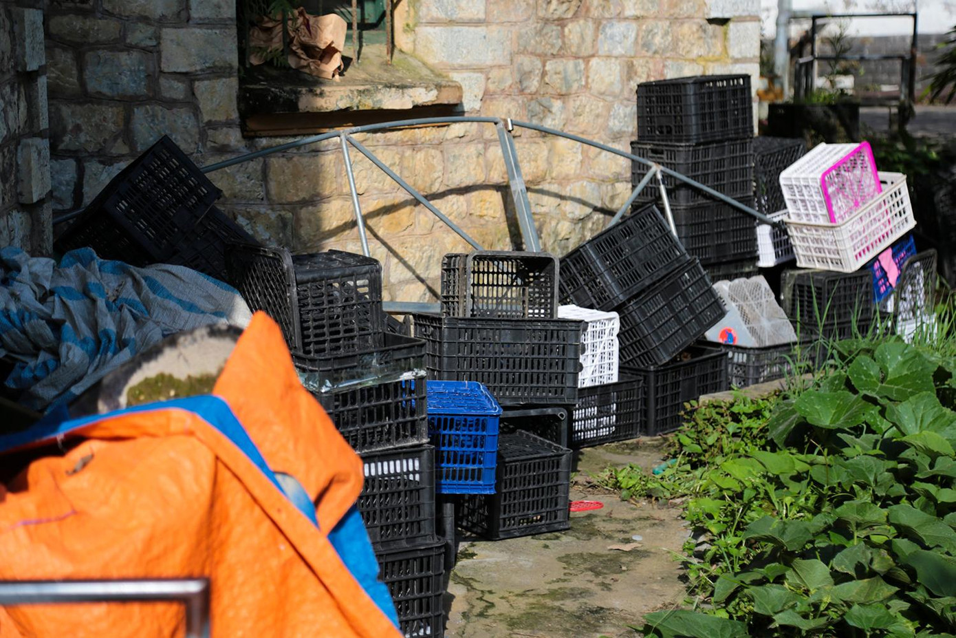 Hành lang bên ngoài để đầy các giỏ hàng.