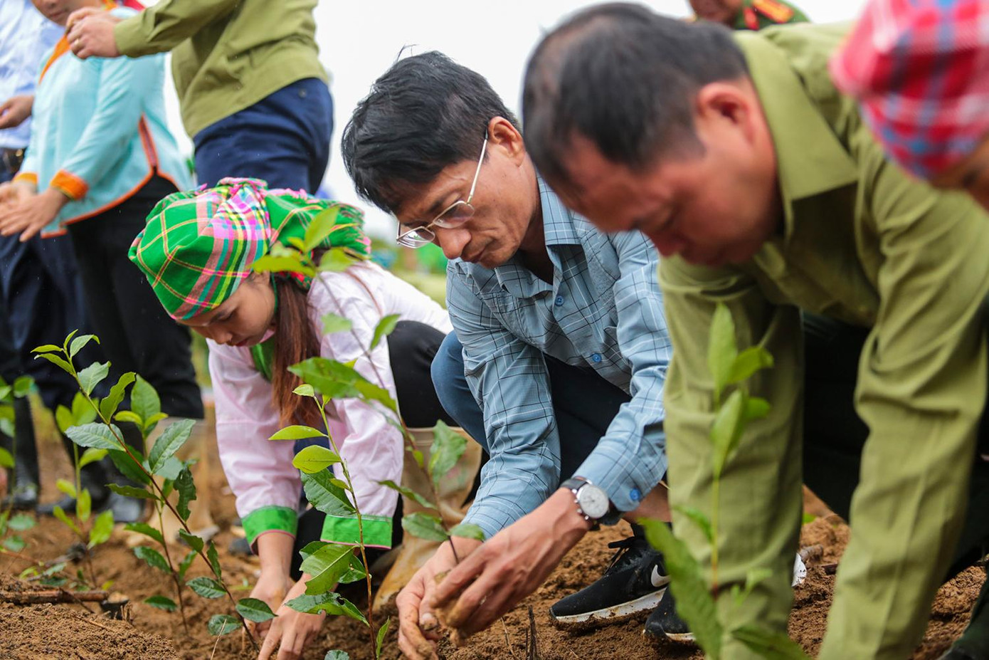 Với diện tích trồng chè mới gần 900 ha, tổng diện tích trồng chè của huyện Mường Khương hiện nay vào khoảng hơn 4.000 ha, chiếm hơn một nửa diện tích trồng chè của tỉnh Lào Cai. Mường Khương vẫn đang là huyện nằm trong chương trình 30A và việc xác định đưa các cây trồng chủ lực gồm chè, dứa, chuối, quế và dược liệu vào sản xuất sẽ góp phần mang lại thu nhập, thoát nghèo cho đồng bào dân tộc nơi huyện vùng cao biên giới này. Với diện tích trồng chè mới gần 900 ha, tổng diện tích trồng chè của huyện Mường Khương hiện nay vào khoảng hơn 4.000 ha, chiếm hơn một nửa diện tích trồng chè của tỉnh Lào Cai. Mường Khương vẫn đang là huyện nằm trong chương trình 30A và việc xác định đưa các cây trồng chủ lực gồm chè, dứa, chuối, quế và dược liệu vào sản xuất sẽ góp phần mang lại thu nhập, thoát nghèo cho đồng bào dân tộc nơi huyện vùng cao biên giới này.