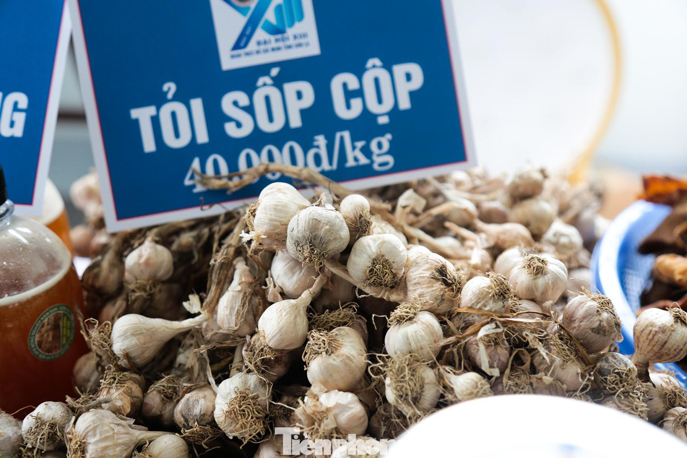 Tỏi Sốp Cộp được nhiều gia đình người dân tộc trồng trên các nương rẫy. Giống tỏi này thơm, cay hơn so với các loại khác.