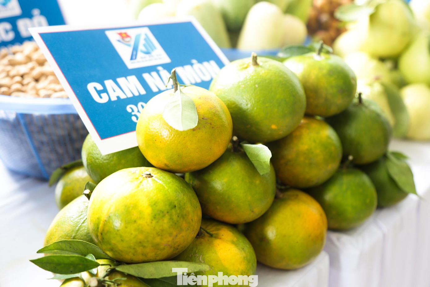 Cam Nà Mòn với quả to, ít hạt, nổi tiếng ở huyện Sốp Cộp.