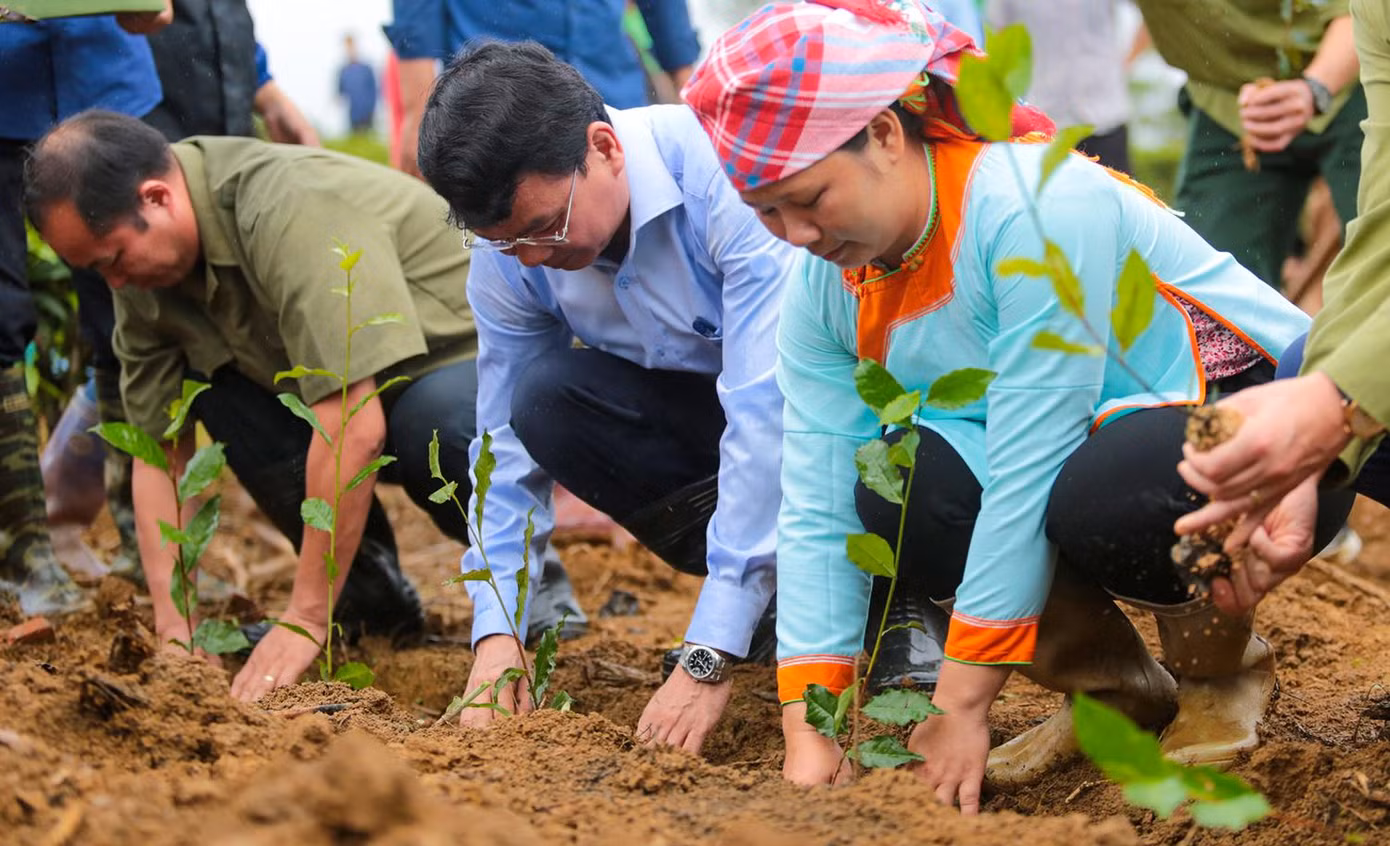 Năm 2022, huyện Mường Khương được UBND tỉnh Lào Cai giao trồng mới 860 ha chè. Đến nay, toàn huyện đã đăng ký trồng 897,16 ha. Toàn bộ diện tích này sẽ tập trung trồng trong 3 tháng (bắt đầu từ hôm nay 7/8 đến hết tháng 10/2022). Buổi lễ phát động hôm nay là ngày hội xuống giống trồng chè nhằm động viên, khích lệ nhân dân và cả hệ thống chính trị chung sức, đồng lòng phát triển kinh tế nông nghiệp, xây dựng nông thôn mới.