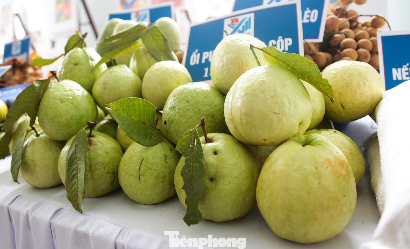 Ổi Pu Hao một địa phương giáp Lào có đặc tính ngọt và giòn, quả to so với ở các địa bàn khác. Người dân địa phương mới trồng gần đây và mỗi năm thu hoạch khoảng 3-4 tấn.