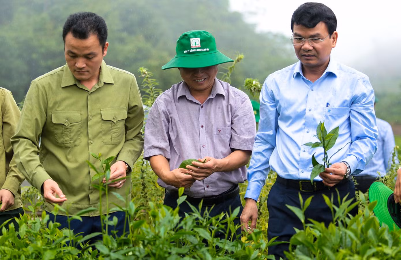 Cũng theo Bí thư Tỉnh ủy Lào Cai, sản xuất nông nghiệp nói chung và trồng chè nói riêng đòi hỏi thời gian lựa chọn giống phù hợp, cải tạo đất, trồng, chăm sóc, cho cây sinh trưởng ... nên bà con nông dân cần bỏ tâm lý “ăn xổi”; cần kiên trì, đồng thuận, đoàn kết và phối hợp chặt chẽ với các bộ ở địa phương thì vùng trồng chè mới bảo đảm phát triển ổn định, bền vững, sớm mang lại thu nhập.