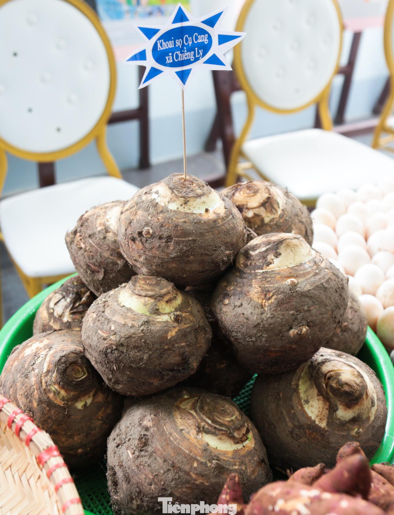 Khoai sọ Cụ Cang xã Chiềng Ly, huyện Thuận Châu có đặc tính mềm, thơm hơn so với ở các nơi khác, điều này tạo nên thương hiệu riêng cho nông sản này.