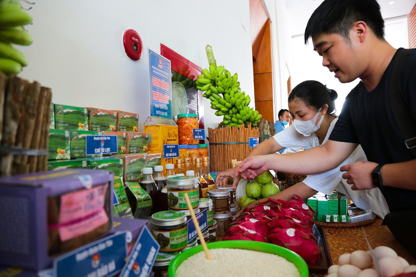 Trong khuôn khổ Đại hội sẽ diễn ra một số hoạt động giới thiệu sản phẩm, công trình thanh niên của tuổi trẻ các địa phương.