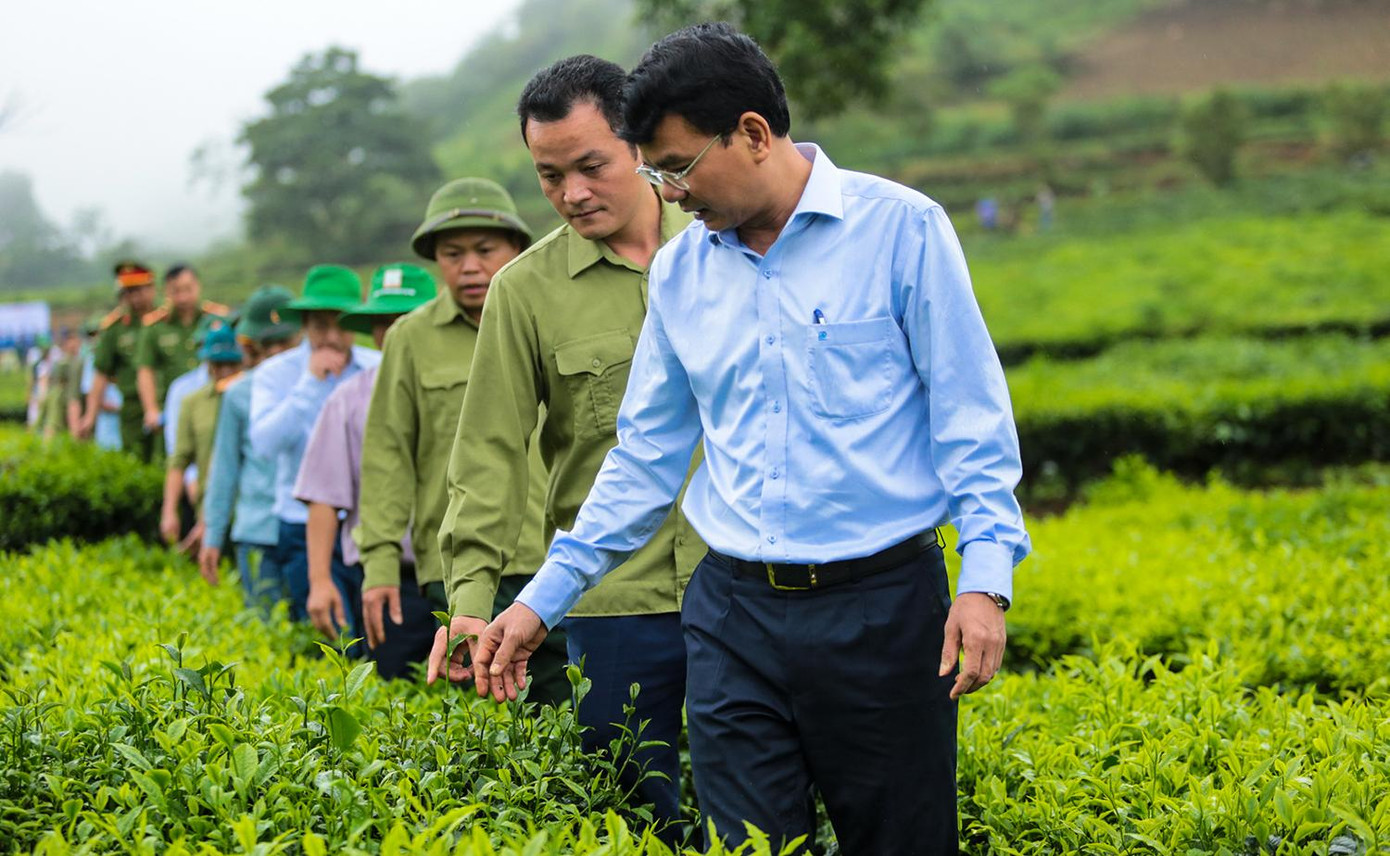 Có mặt tại buổi phát động phong trào trồng chè, ông Đặng Xuân Phong - Bí thư Tỉnh ủy Lào Cai cho biết, người dân tin tưởng vào chủ trương, định hướng, chính sách về nông nghiệp của Đảng và Nhà nước vì thực tế đã chứng minh những chủ trương này đã giúp nhân dân - bằng chính sức lao động của mình đã xóa được đói, giảm được nghèo, từng bước có thu nhập ổn định và tiến tới có tích lũy. Có mặt tại buổi phát động phong trào trồng chè, ông Đặng Xuân Phong - Bí thư Tỉnh ủy Lào Cai cho biết, người dân tin tưởng vào chủ trương, định hướng, chính sách về nông nghiệp của Đảng và Nhà nước vì thực tế đã chứng minh những chủ trương này đã giúp nhân dân - bằng chính sức lao động của mình đã xóa được đói, giảm được nghèo, từng bước có thu nhập ổn định và tiến tới có tích lũy.