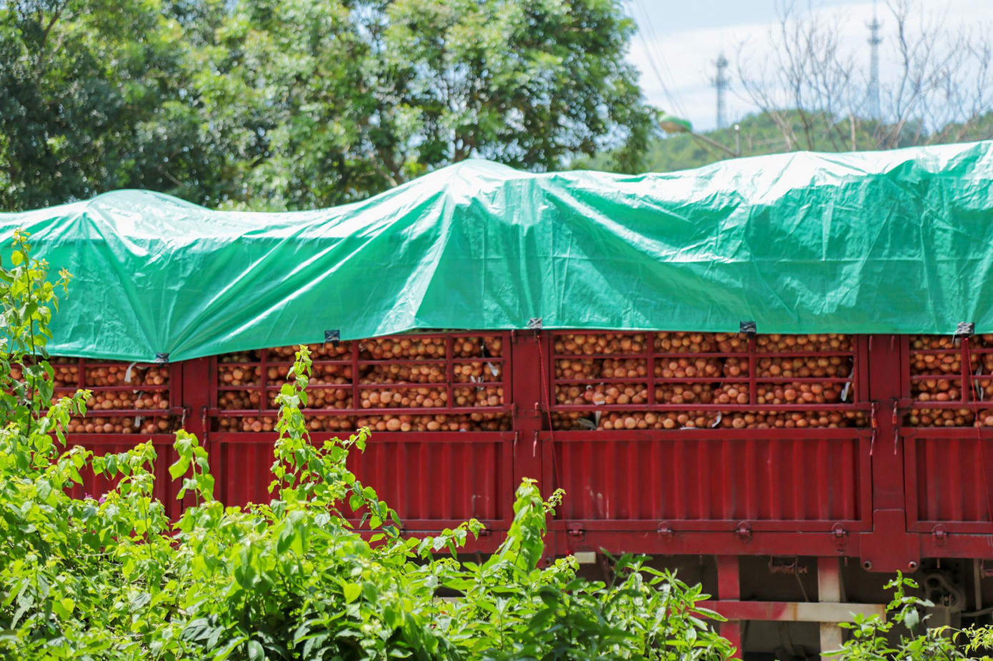 Song song với việc xuất khẩu nông sản là quả vải, thanh long, chuối, mít, phía nước ta nhập khẩu lại một số mặt hàng khác như khoai tây, cà chua...