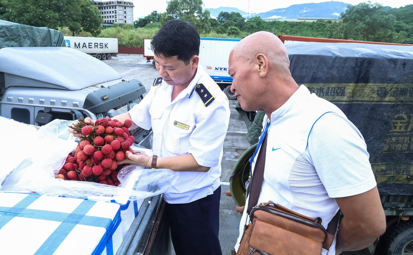 Mặt hàng quả vải tươi được ưu tiên luồng xanh xuất khẩu qua cửa khẩu quốc tế đường bộ số II Kim Thành. Ảnh: Hân Nguyễn. Mặt hàng quả vải tươi được ưu tiên luồng xanh xuất khẩu qua cửa khẩu quốc tế đường bộ số II Kim Thành. Ảnh: Hân Nguyễn.