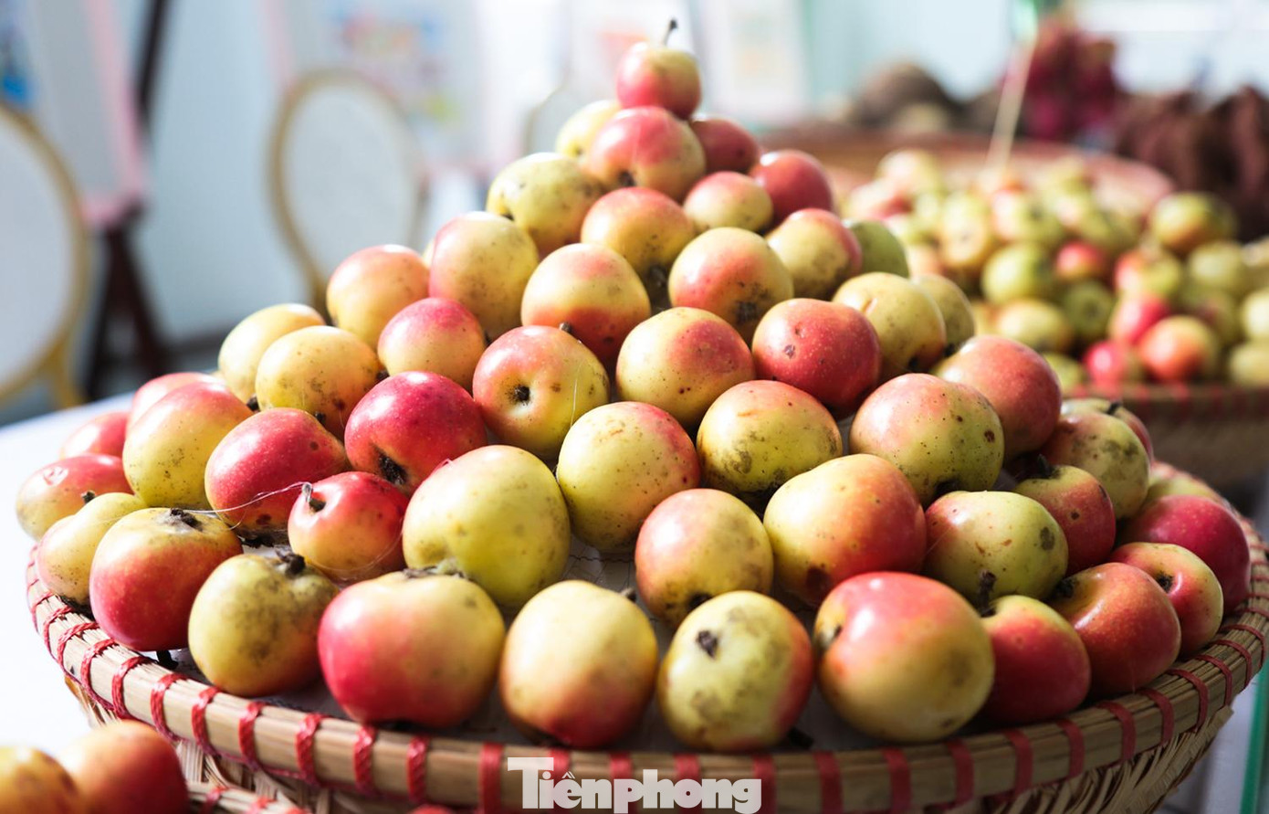 Ngọc Chiến còn nổi tiếng với quả táo sơn tra, được trồng ở bản Nậm Nghiệp, nơi có độ cao trên 2.400 m so với mực nước biển. Quả táo ở đây đỏ, to, ngọt không bị chua. Tháng 2-3 là mùa hoa nở với khung cảnh khá đẹp, thu hút nhiều khách du lịch trong khi tháng 9 là thời điểm nông dân hái quả. Đây cũng là nguồn thu nhập chính của bà con thôn bản.