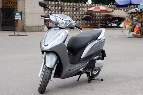 Tổng thể cân đối, mạnh mẽ