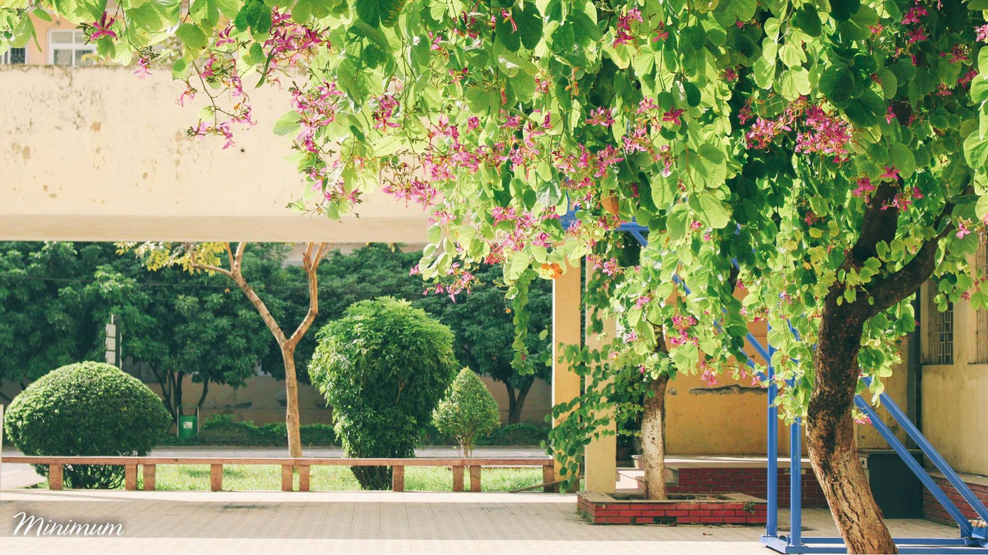 Bất kỳ góc nào của trường cũng có thể &quot;sống ảo&quot;. Ảnh: Bình Minh