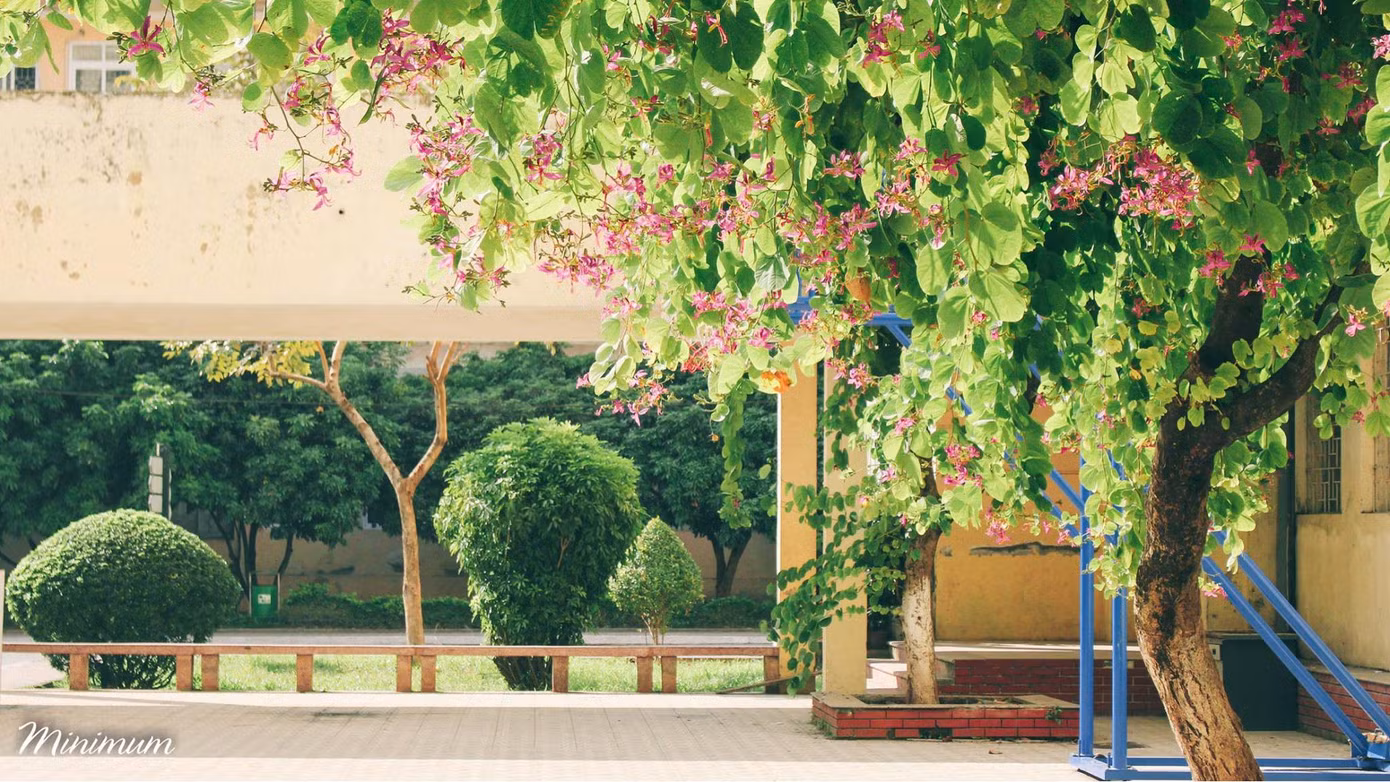 Bất kỳ góc nào của trường cũng có thể "sống ảo". Ảnh: Bình Minh