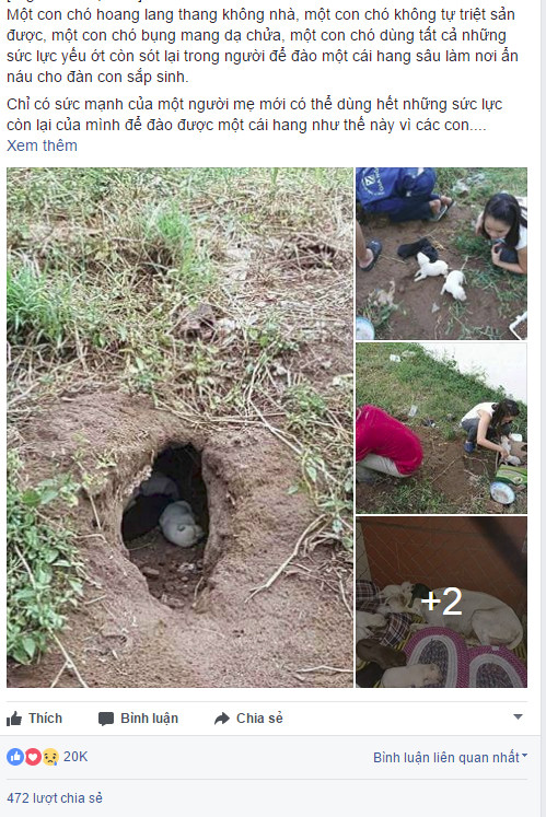 Nhóm bạn trẻ làm gì khiến dân mạng rào rào khen ngợi ảnh 1