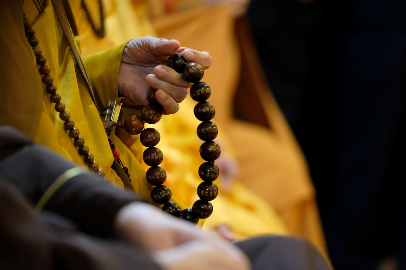 Các chư tôn thành kính tiễn biệt Đại lão Hòa thượng