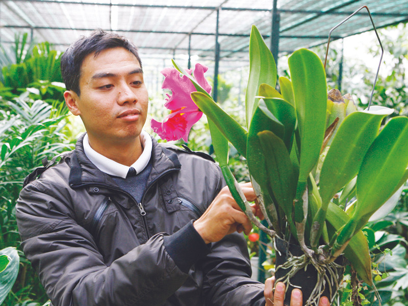 Gần tết cứ tan việc ở cơ quan, Nguyễn Tiến Dũng lại về nhà bắt đầu gọt thủy tiên, có khi đến tận nửa đêm mới ngừng. Gần tết cứ tan việc ở cơ quan, Nguyễn Tiến Dũng lại về nhà bắt đầu gọt thủy tiên, có khi đến tận nửa đêm mới ngừng