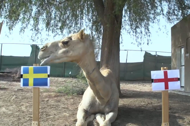 Tiễn Thụy Điển về nước, Anh vào bán kết World Cup sau 28 năm ảnh 3