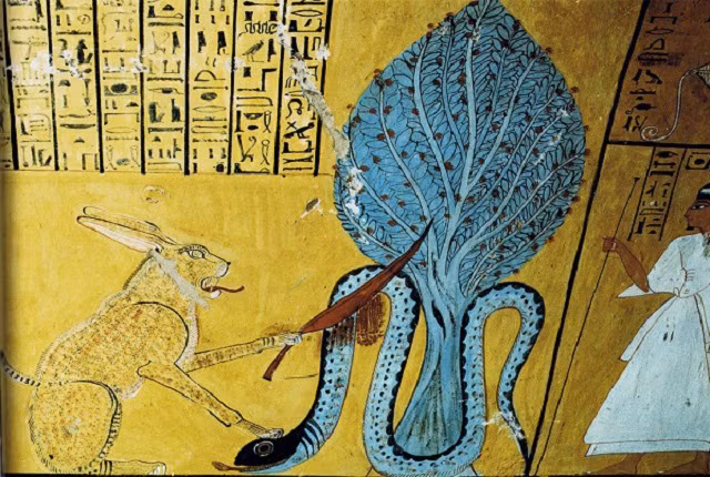 Bí ẩn về loài rắn của nữ hoàng Cleopatra ảnh 3