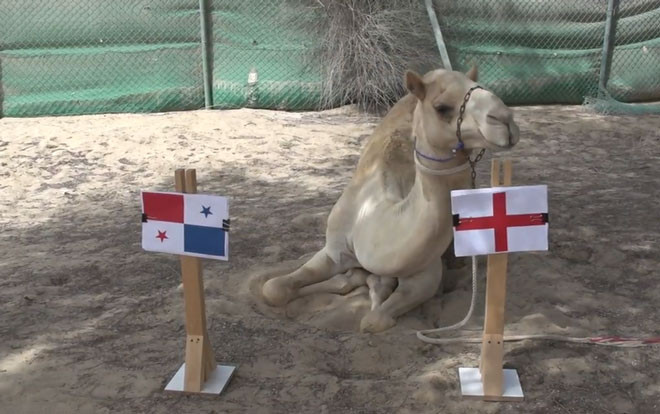 Anh vào vòng 1/8 World Cup sau màn 'dội bom' kinh hoàng ảnh 2