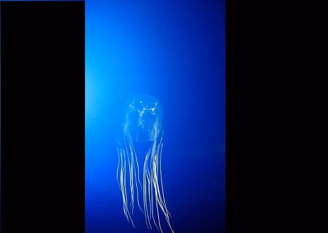 Những loài động vật có bề ngoài vô hại nhưng cực kỳ nguy hiểm ảnh 2