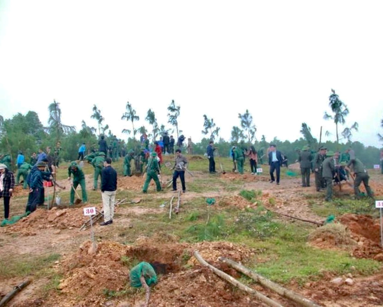 Bộ đội Sư đoàn 968 (Quân khu 4) cùng đoàn viên thanh niên huyện Cam lộ tham gia trồng cây tại Khu di tích thành Tân Sở.