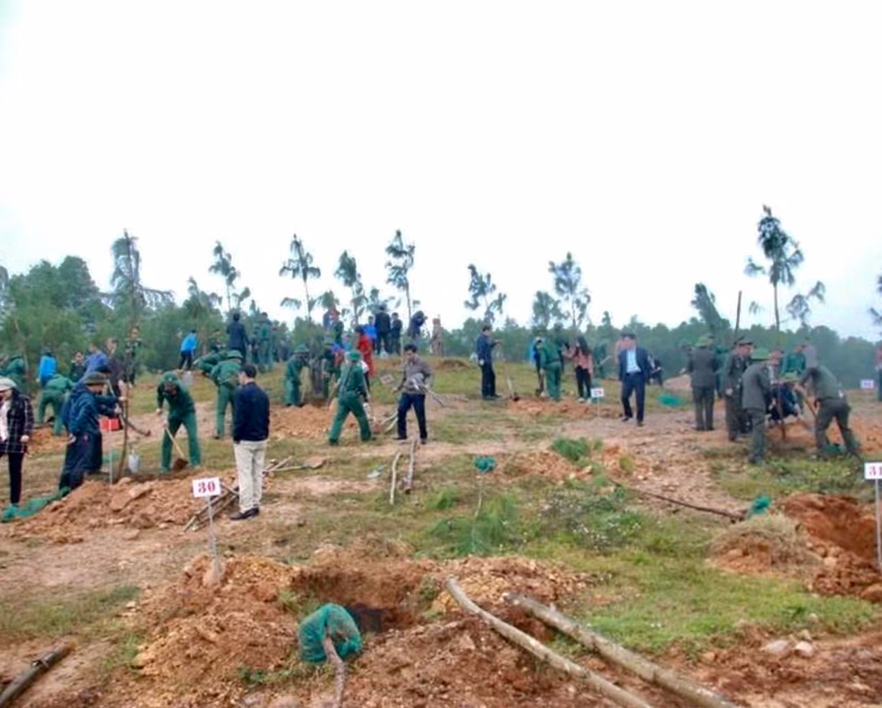 Bộ đội Sư đoàn 968 (Quân khu 4) cùng đoàn viên thanh niên huyện Cam lộ tham gia trồng cây tại Khu di tích thành Tân Sở.