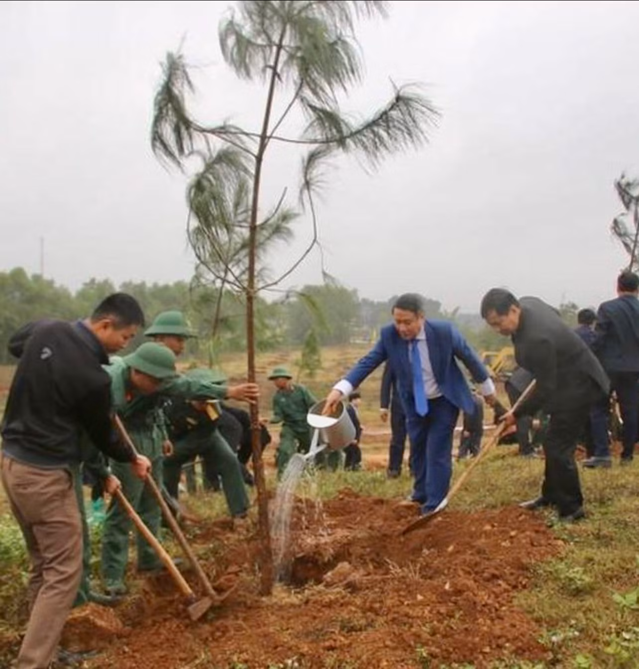 Lãnh đạo tỉnh Quảng Trị trồng cây đầu Xuân Quý Mão. Ảnh: Đức Đăng