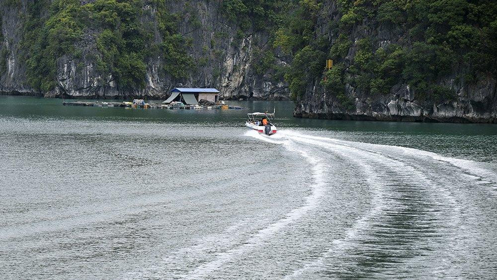 Vịnh Lan Hạ được công nhận là một trong những vịnh biển đẹp nhất thế giới, tuy nhiên tiềm năng thế mạnh đó vẫn cần được phát huy tốt hơn trong thời gian tới. Vịnh Lan Hạ được công nhận là một trong những vịnh biển đẹp nhất thế giới, tuy nhiên tiềm năng thế mạnh đó vẫn cần được phát huy tốt hơn trong thời gian tới.