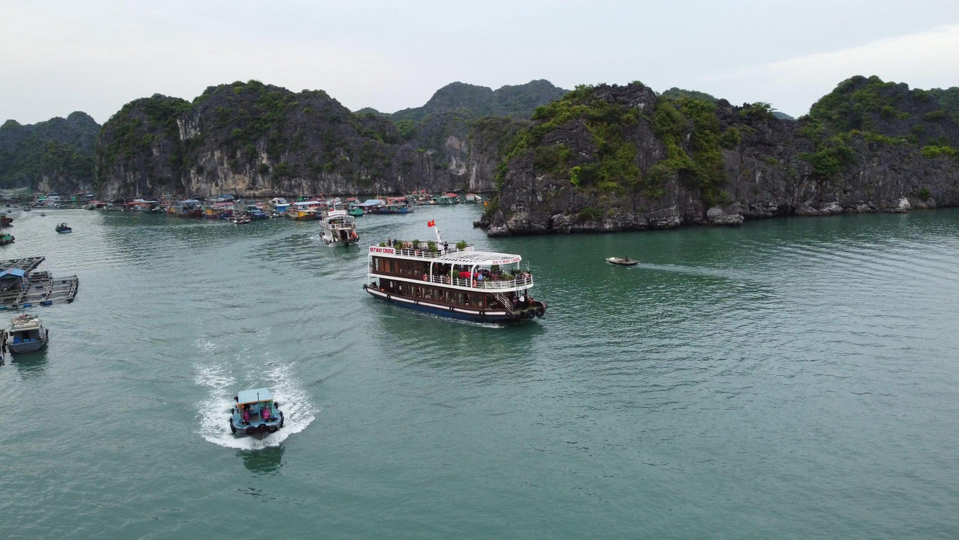 Vịnh Lan Hạ nằm ở phía đông của Đảo Cát Bà và sát kề vịnh Hạ Long ở phía nam. Vịnh Lan Hạ có diện tích hơn 7.000 ha, bao gồm một quần đảo khá hoang sơ với khoảng 400 hòn đảo lớn nhỏ dày đặc tạo nên một bức tranh khổng lồ đẹp huyền ảo. Vịnh Lan Hạ nằm ở phía đông của Đảo Cát Bà và sát kề vịnh Hạ Long ở phía nam. Vịnh Lan Hạ có diện tích hơn 7.000 ha, bao gồm một quần đảo khá hoang sơ với khoảng 400 hòn đảo lớn nhỏ dày đặc tạo nên một bức tranh khổng lồ đẹp huyền ảo.