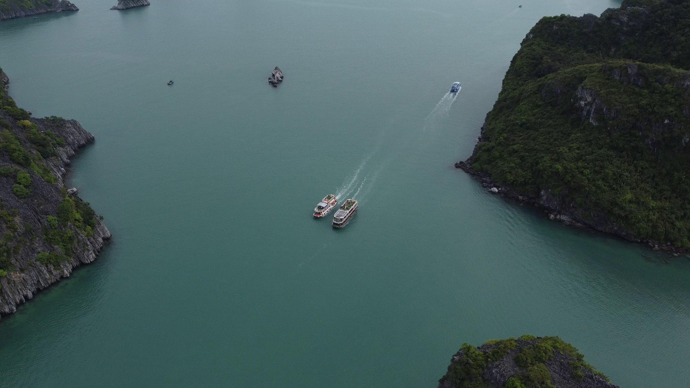 Dưới làn nước trong xanh là những bãi san hô nhiều mầu sắc như bãi Vạn Bội, Vạn Hà…Những vùng biển lặng nước như ở đảo Sến, đảo Cù, đảo Khỉ…chính là nơi du khách có thể lặn ngắm san hô. Dưới làn nước trong xanh là những bãi san hô nhiều mầu sắc như bãi Vạn Bội, Vạn Hà…Những vùng biển lặng nước như ở đảo Sến, đảo Cù, đảo Khỉ…chính là nơi du khách có thể lặn ngắm san hô.