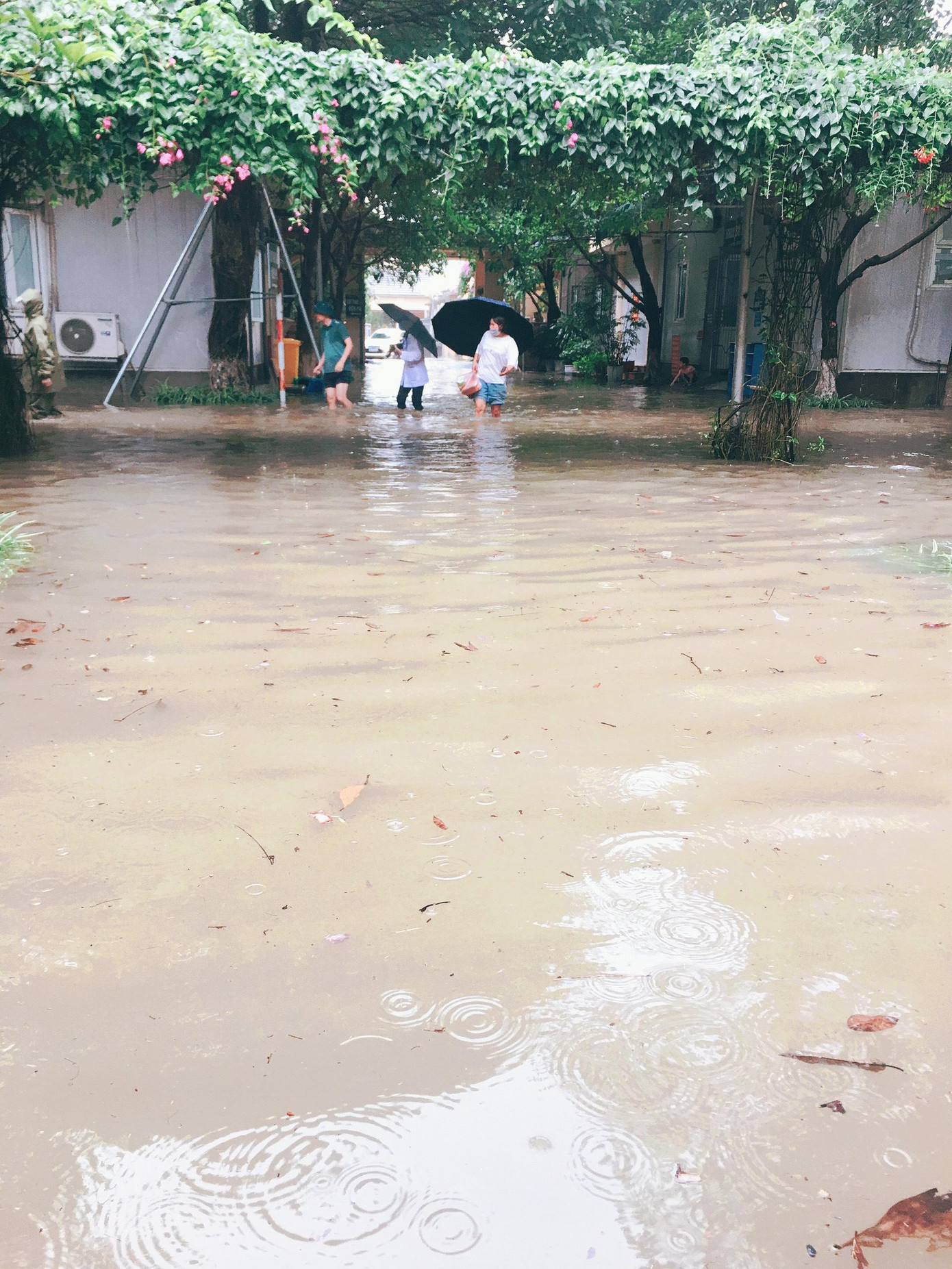 Ông Lê Duy Thành chỉ rõ nguyên nhân là việc đấu nối, tiêu thoát nước của thành phố Vĩnh Yên chưa tốt.