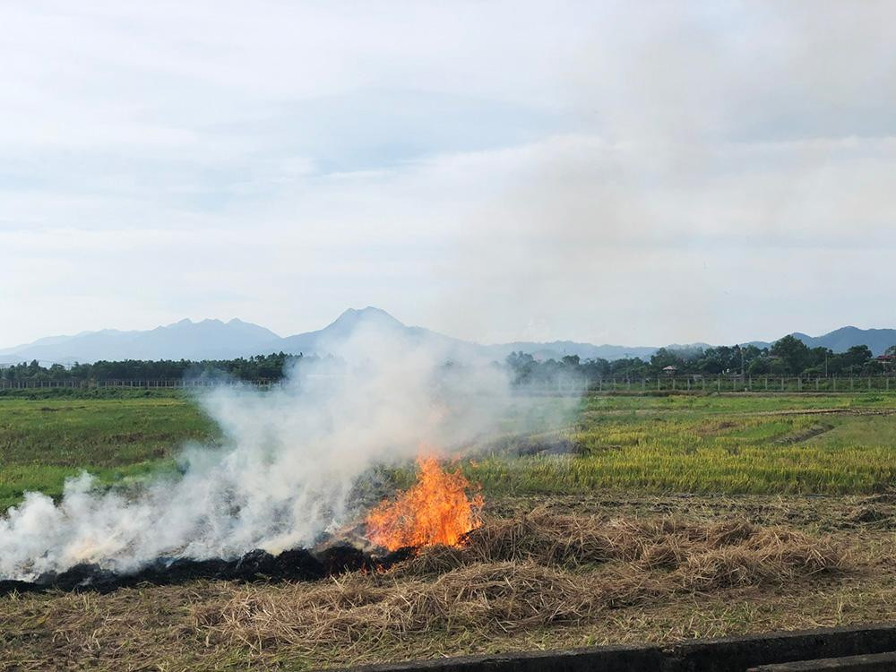 Những cột khói bốc lên vào mỗi buổi chiều khiến phương tiện lưu thông trên đường bị che khuất tầm nhìn rất nguy hiểm. Chưa kể, gió thổi khói bụi bay về khu vực nội thành càng khiến không khí ô nhiễm.