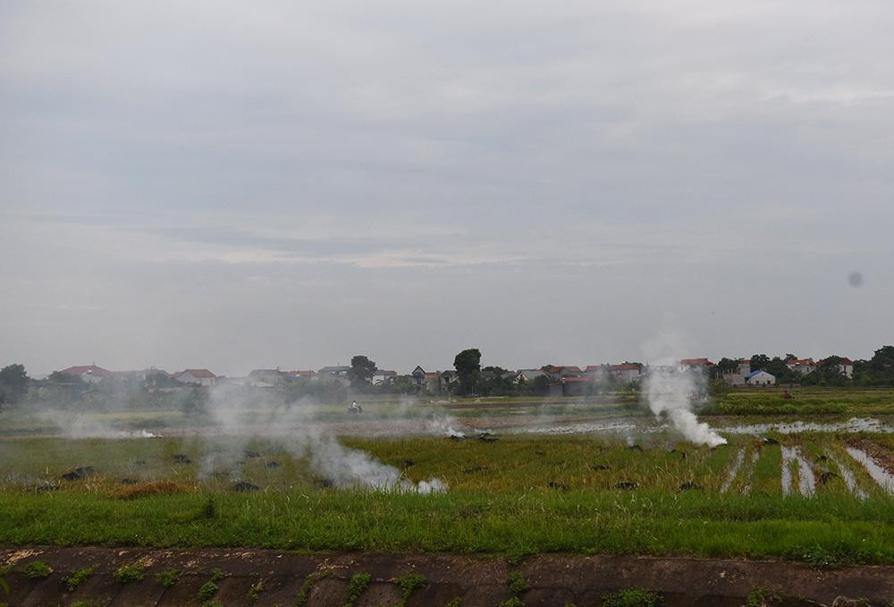 Ghi nhận tại địa bàn huyện Sóc Sơn, Mê Linh... gần chiều tối liên tục có hiện tượng đốt rơm rạ. Đặc biệt khu vực quanh sân bay Nội Bài (huyện Sóc Sơn, Hà Nội), những cột khói mịt mù có thể gây uy hiếp an toàn bay.