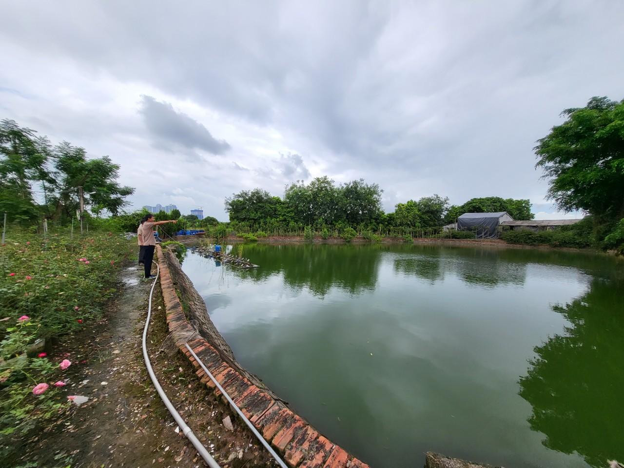 Ao nuôi cá của các hộ dân thôn 10 xã Xuân Quan