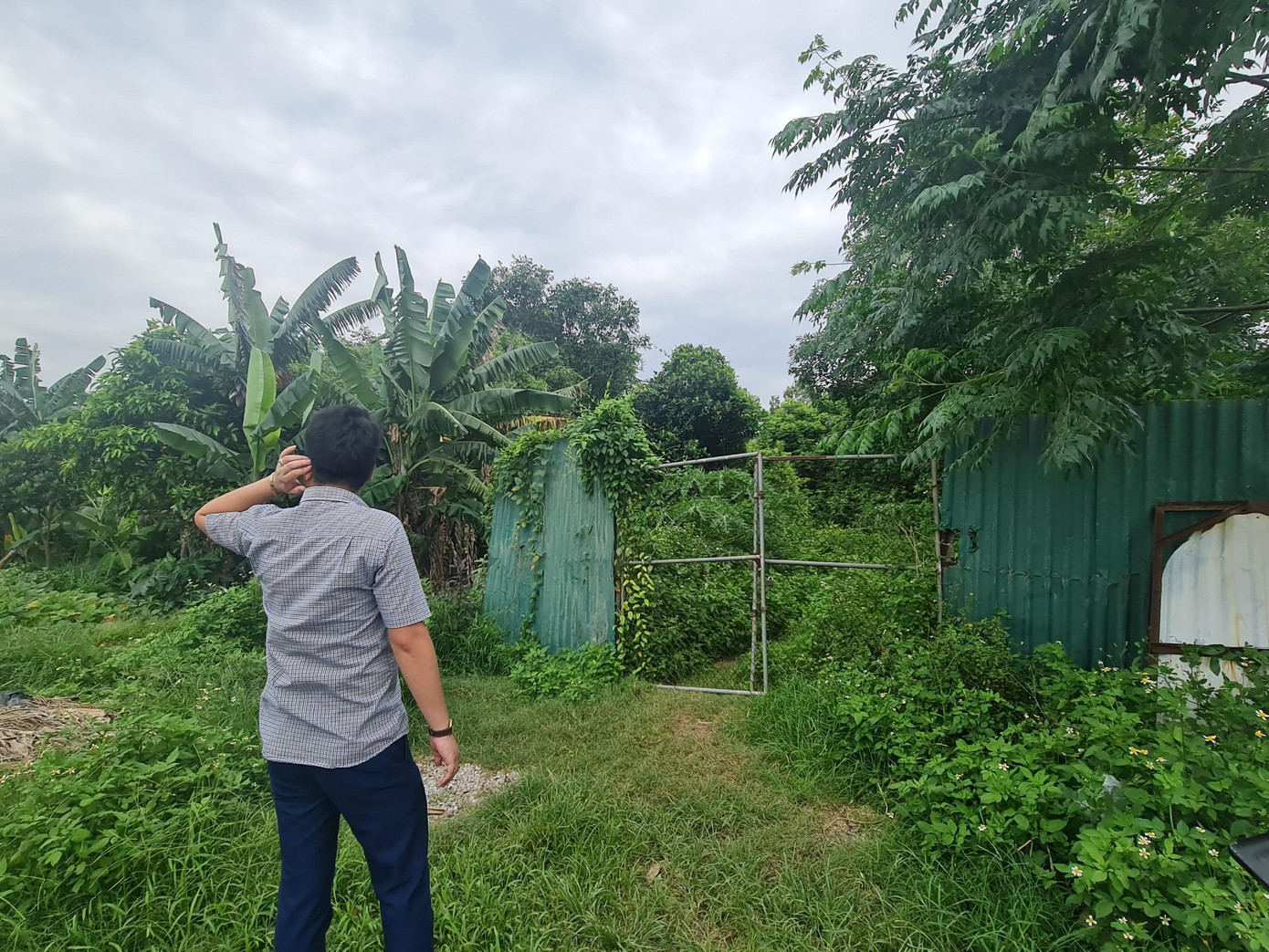 Phần lớn diện tích khu Triều Viềng bị bỏ hoang khiến người dân bức xúc Phần lớn diện tích khu Triều Viềng bị bỏ hoang khiến người dân bức xúc